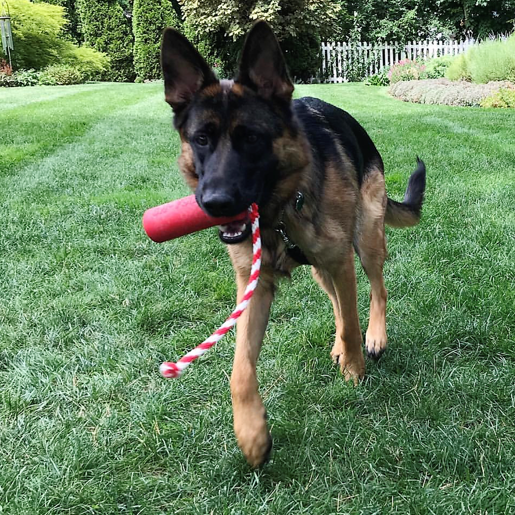 USA-K9 Firecracker Floating Training Dummy | K9 Handler Reward Toy | Red | USA Made